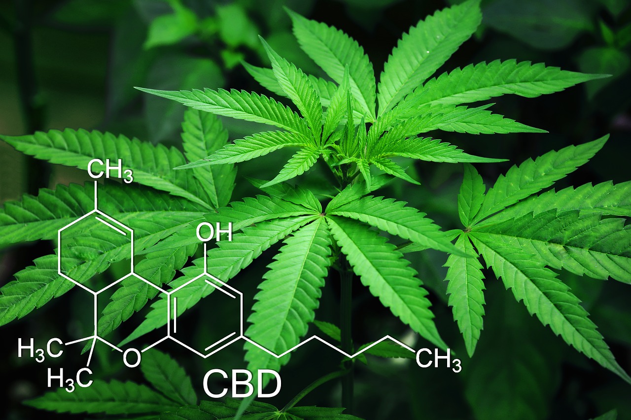 What is the Function of Cannabichromene CBC?